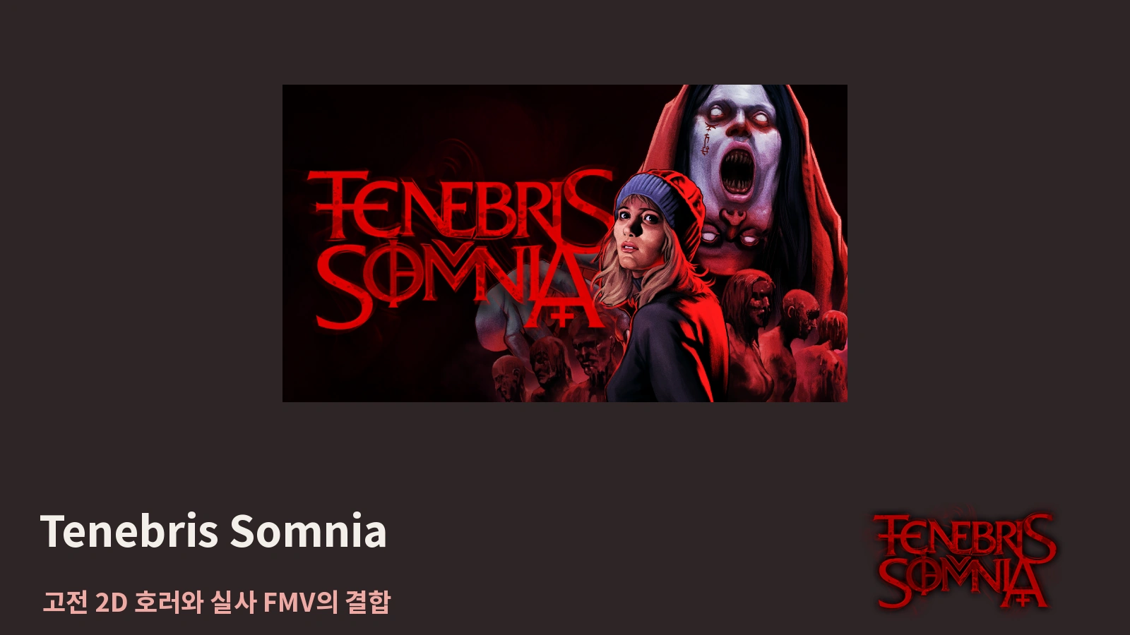 Tenebris Somnia 출시일·가격·한국어｜픽셀 공포와 실사 영상의 결합